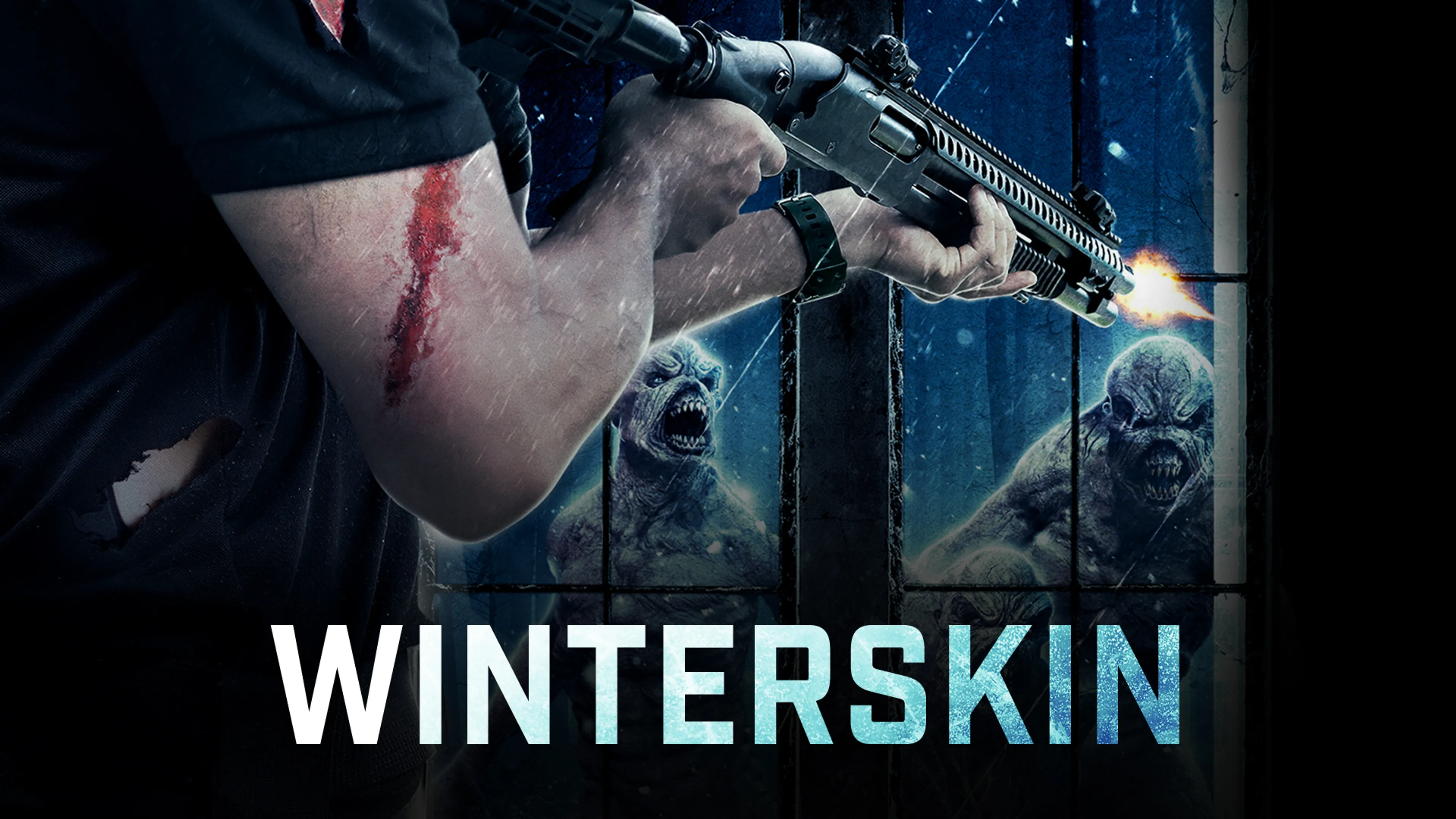 Winterskin poster